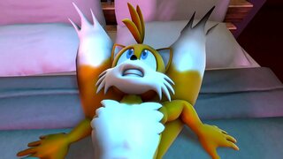 ���্যানিলা বনাম মুদ্রার উলটা পিঠ